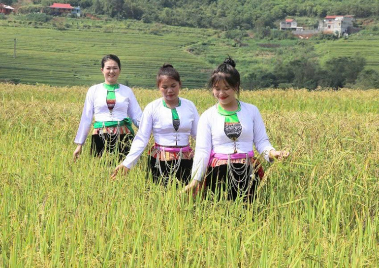 Bucuria femeilor din etnia Muong la festival. z7153587379597-ad0a7ff468e7b11979633196190c214e.jpg