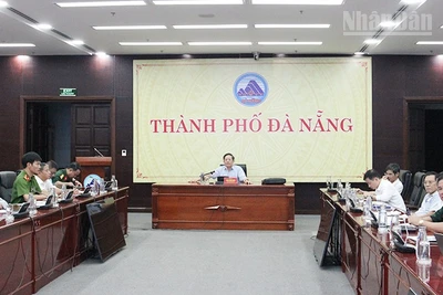 Thành phố họp công tác ứng phó với mưa lớn và bão số 12.