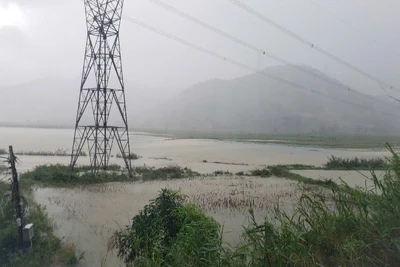 Nhiều địa phương của Đà Nẵng vẫn tiếp tục mưa lớn.