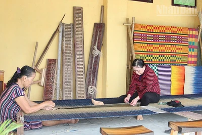 Nghề làm chiếu cói truyền thống hơn 100 năm bên dòng sông Thu Bồn (phường Hội An, thành phố Đà Nẵng).