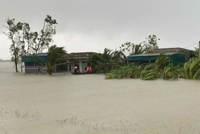 Bão số 10 khiến nước lũ ngập sâu tại khu vực xã Quảng Ngọc, tỉnh Thanh Hóa. (Ảnh BÙI THÁI BÌNH)