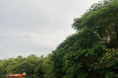 Khu du lịch sinh thái Đảo Cò (Hải Phòng).