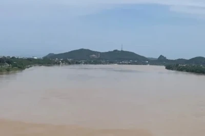 Thanh Hóa tăng mức báo động II trên sông Yên.