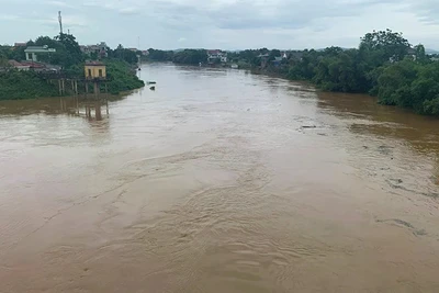 Nước sông Bưởi được nâng lên mức báo động II.