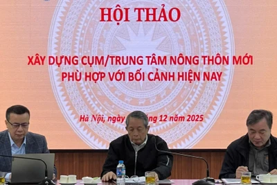 Các đại biểu dự hội thảo.