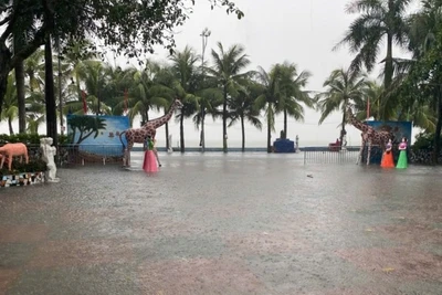 Khu vực ven biển Thanh Hóa có mưa to trong sáng 22/7.