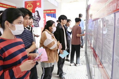 Cử tri sinh viên tìm hiểu các ứng cử viên trước khi bỏ phiếu.