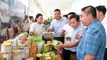Các đại biểu tham quan gian hàng nông sản địa phương.