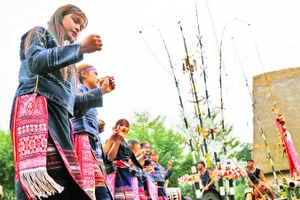 PGS, TS Võ Quang Nhơn có tình cảm máu thịt với Tây Nguyên. Mảnh đất ấy đã truyền cho ông tri thức và cảm hứng để biên soạn các tuyển tập Đăm Săn Thí (1972), Truyện cổ các dân tộc miền Nam (1976), Truyện cổ Ca tu (1978), Truyện cổ Cơ ho (1984, 1988) và đặc biệt là Dân ca Tây Nguyên (1976, 1986).