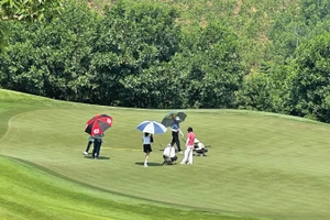 Đường bóng và thương trường