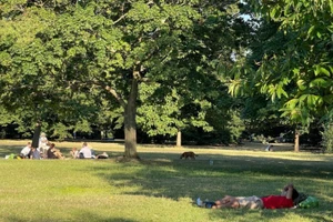 Theo các nhà vận động bảo vệ sức khỏe cộng đồng, các chính quyền địa phương tại Anh hiện vẫn đang sử dụng hàng nghìn lít thuốc diệt cỏ chứa glyphosate tại các không gian xanh công cộng. (Ảnh minh họa: Minh Hợp/TTXVN)