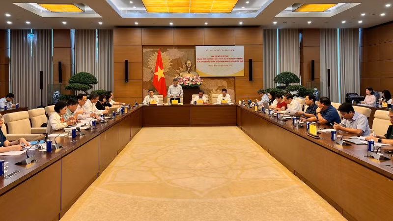 Quang cảnh buổi làm việc. 