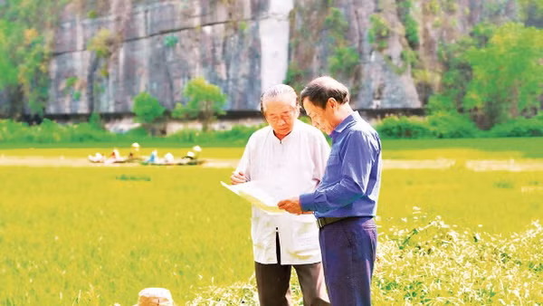 Họa sĩ Phúc Khôi cùng đại diện Ban Quản lý Khu du lịch kiểm tra tiến độ sinh trưởng của lúa. 