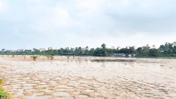Nhiều diện tích đất bị lấn chiếm nuôi trồng thủy sản tại Quảng Ninh được thu hồi.