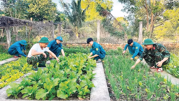 Cán bộ, chiến sĩ Ban Chỉ huy quân sự xã Ia Rvê chăm sóc vườn rau xanh.