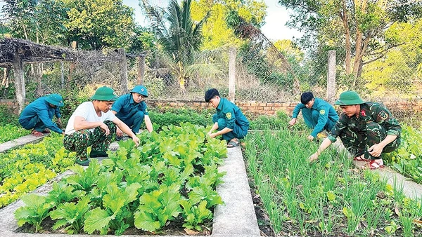 Cán bộ, chiến sĩ Ban Chỉ huy quân sự xã Ia Rvê chăm sóc vườn rau xanh.