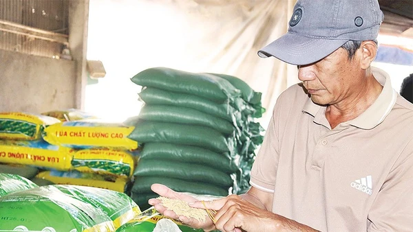 Nông dân xã Thoại Sơn vui mừng nhận lúa giống triển khai mô hình trồng lúa chất lượng cao.