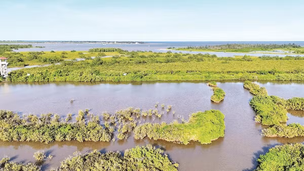 Vườn quốc gia Xuân Thủy, khu bảo tồn đất ngập nước tiêu biểu của Việt Nam và khu vực.
