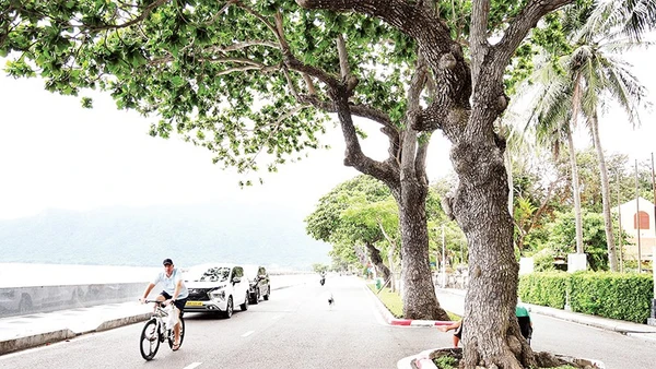 Đặc khu Côn Đảo đang triển khai nhiều giải pháp về kinh tế tuần hoàn để hướng tới các mục tiêu phát triển bền vững.