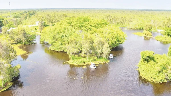 Vườn quốc gia U Minh Thượng nhìn từ trên cao.