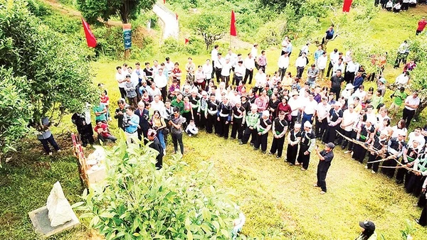 Tái hiện lễ cúng tôn vinh cây chè Tổ của đồng bào H'Mông Suối Giàng.
