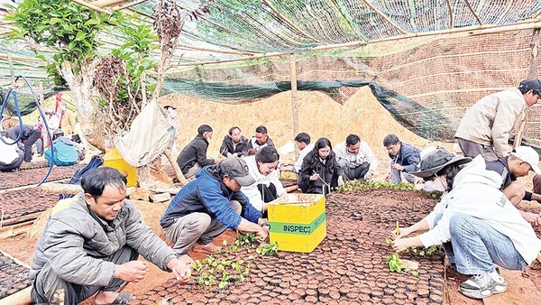 Đông đảo cán bộ, nhân dân và học sinh cùng tham gia các hoạt động sản xuất nông nghiệp.