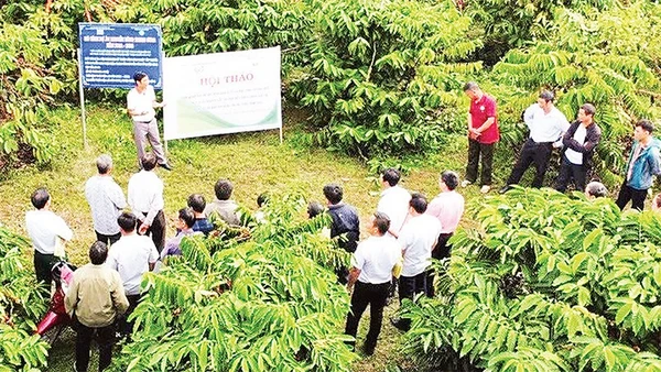 Trong giai đoạn 2021-2025, toàn tỉnh Lâm Đồng đã triển khai hơn 400 mô hình khuyến nông trong trồng trọt, chăn nuôi, thủy sản, thu hút hơn 3.500 hộ tham gia.