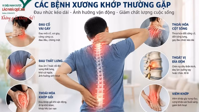 Giải mã sức hút phương pháp “Khai thông cột sống” của Lão Nhà Quê