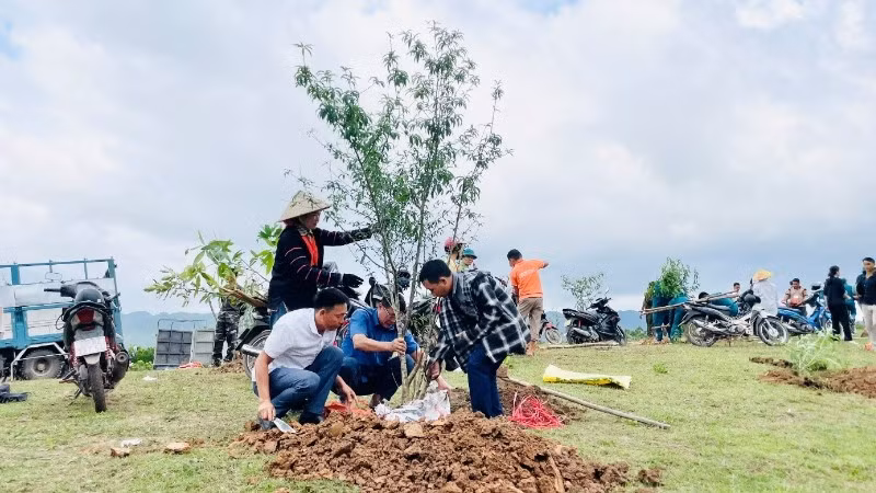 Cán bộ, công chức xã Si Pa Phìn hưởng ứng phong trào trồng cây, bảo vệ rừng; đồng thời tuyên truyền, vận động nhân dân các dân tộc trên địa bàn tích cực tham gia bảo vệ rừng để hưởng dịch vụ môi trường rừng.