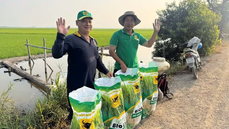 Nông dân Cần Thơ sử dụng phân bón BiO Canxi thế hệ mới trong quy trình cải tạo đất, góp phần giảm phát thải và nâng cao hiệu quả sản xuất.