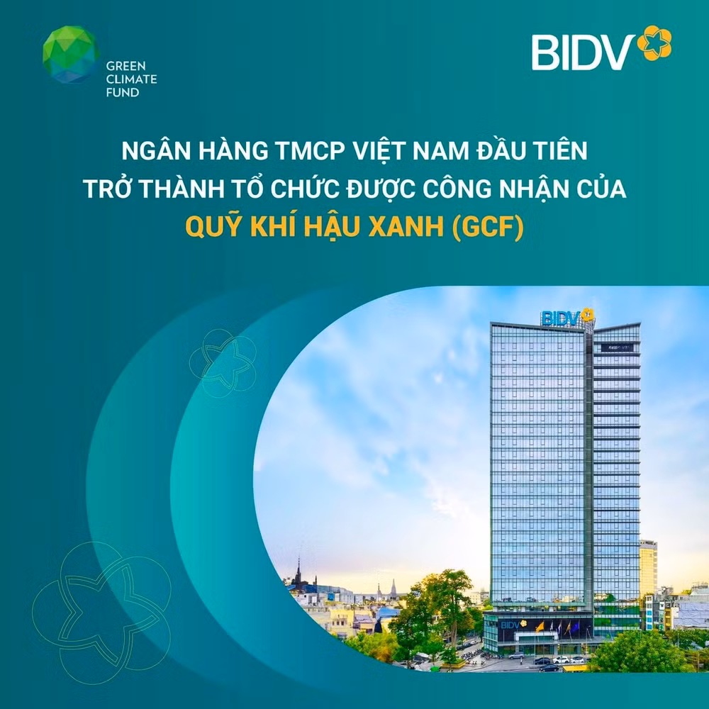 bidv1.jpg