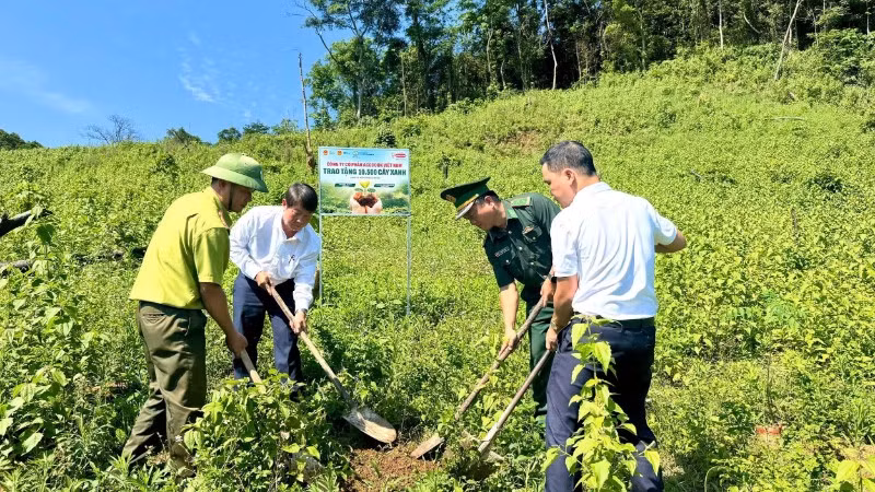 Khu vực trồng cây thuộc thôn Trăng - Tà Puồng, xã Hướng Lập, tỉnh Quảng Trị.
