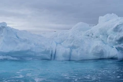 Ảnh minh họa. (Nguồn: TTXVN)