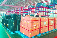 Từ năm 2026, các sản phẩm từ cao su nhập khẩu vào EU phải bảo đảm quy định EUDR.