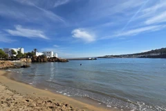 Ảnh: NGUYỄN AN/TTXVN