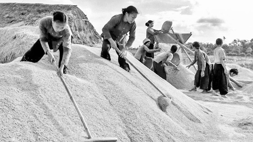 Những cô gái ba đảm đang quạt thóc vàng gửi ra tiền tuyến ở Vũ Thư, Thái Bình, năm 1967. (Ảnh: Mầu Hoàng Thiết)