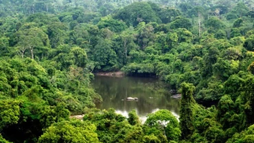 Khu bảo tồn Alto Maues của Brazil. (Nguồn: www.wwf.org.br/TTXVN)