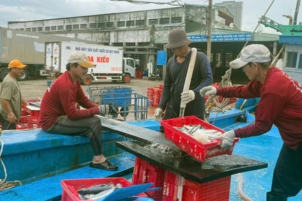 Việc kết nối trách nhiệm giữa ngư dân-cảng cá-thương lái là chìa khóa giúp Bình Định đạt được hiệu quả cao trong công tác xác nhận nguồn gốc thủy sản.