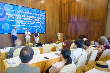 Quang cảnh hội nghị.