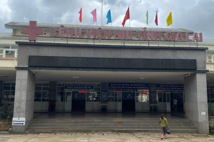 Hiện các em đang được điều trị tại Bệnh viện Nhi Gia Lai.