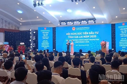 Quang cảnh hội nghị.