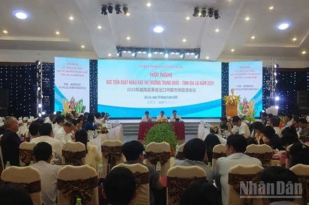 Toàn cảnh hội nghị.