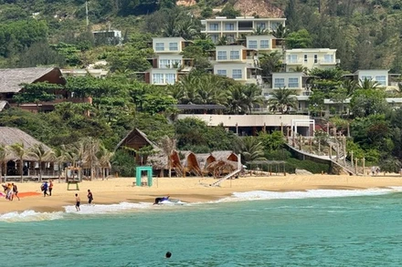 Bãi biển Kỳ Co (phường Quy Nhơn Đông, tỉnh Gia Lai) là một trong những điểm đến thu hút nhiều du khách trong và ngoài nước.