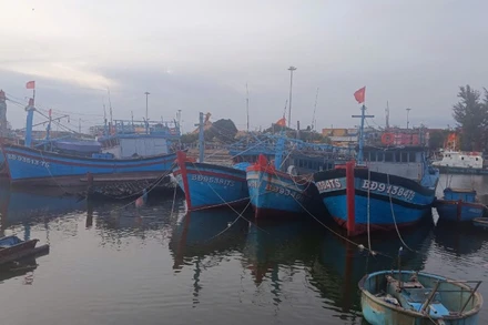 Tàu thuyền neo đậu tại cảng Quy Nhơn để tránh trú bão.