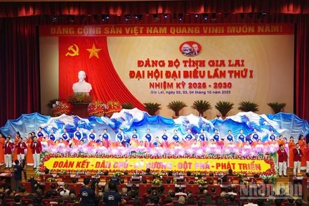 Chương trình văn nghệ chào mừng Đại hội.