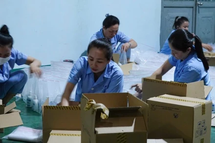 Hàng nghìn túi thuốc được vận chuyển đến Thái Nguyên và Cao Bằng phục vụ công tác khử khuẩn và phòng dịch.