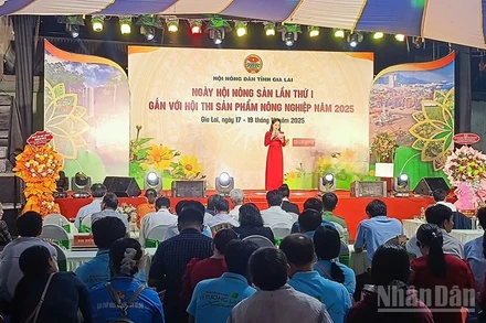 Toàn cảnh Ngày hội Nông sản tỉnh Gia Lai lần thứ I tại Quảng trường Đại Đoàn Kết, phường Pleiku.