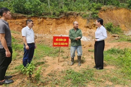 Cán bộ ngành nông nghiệp tuyên truyền, hướng dẫn người dân phường Bình Khê tiêu huỷ lợn dịch đúng quy định.