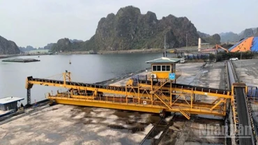 Tập đoàn Công nghiệp Than-Khoáng sản Việt Nam (TKV) yêu cầu các đơn vị, công ty khai thác than thành viên trên địa bàn tỉnh Quảng Ninh triển khai các biện pháp khẩn cấp ứng phó bão số 3 (Wipha).