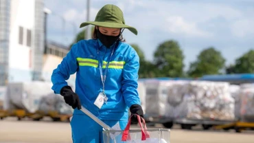Nhân viên Đội môi trường khu bay thu gom vật ngoại lai.